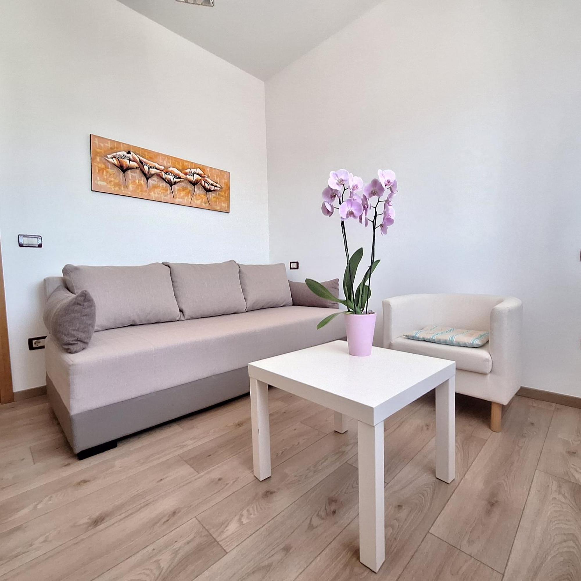 Apartment Mita Groznjan Exterior photo